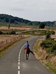 gwen on the road